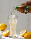 61rSF1wWEiL._SX569_.webp