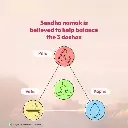1cadf241-c136-4736-bb28-6ab498fef3cf.webp