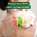 61U6CcZfILL._SL1000_.webp
