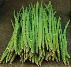 Drumsticks (Munga/Sahejan)