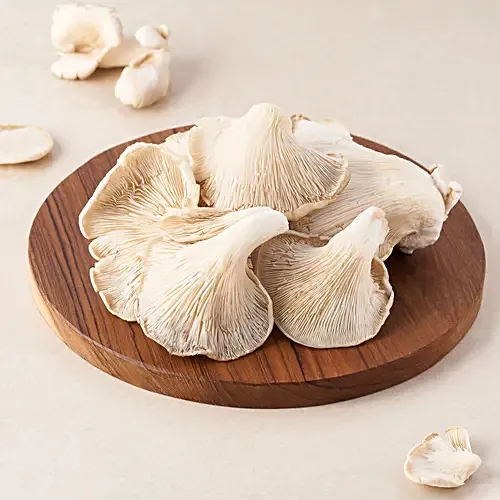 Mushroom Oyester