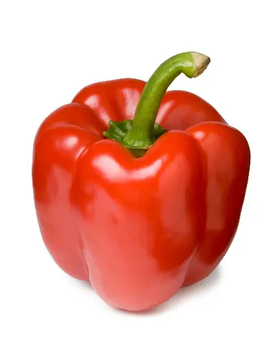 Capsicum (Shimla Mirch) - Red